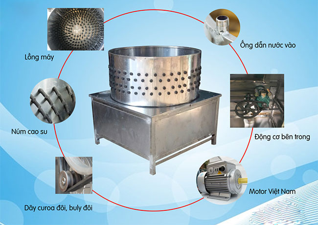 Chi tiết cấu tạo máy đánh lông lợn