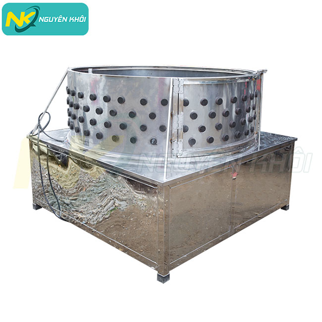 Máy đánh lông lợn làm sạch tới 98%