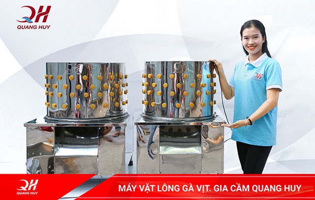 Máy vặt lông gà vịt của Quang Huy